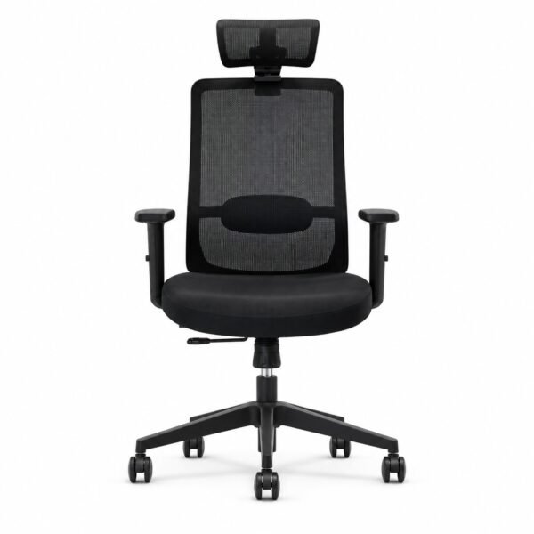 RivlinHome Ergonomic Mesh Office Chair Black RivlinHome ergonomic mesh office chair front view
