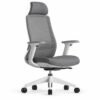 RivlinHome Ergonomic Mesh Office Chair with Adjustable Headrest & Dual Lumbar Support RivlinHome Ergonomic Mesh Office Chair with Adjustable Headrest & Dual Lumbar Support - 1