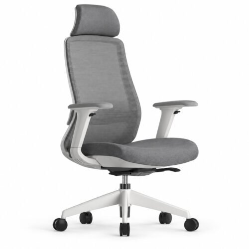 RivlinHome Ergonomic Mesh Office Chair with Adjustable Headrest & Dual Lumbar Support - 1