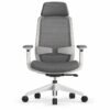 RivlinHome Ergonomic Mesh Office Chair with Adjustable Headrest & Dual Lumbar Support RivlinHome Ergonomic Mesh Office Chair with Adjustable Headrest & Dual Lumbar Support - 2