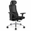 RivlinHome Ergonomic Mesh Chair Alternate Front Angle Black ergonomic mesh office chair alternate front angle