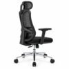 RivlinHome Ergonomic Mesh Chair Side Profile Black ergonomic mesh office chair side profile