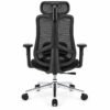 RivlinHome Ergonomic Mesh Chair Rear View Black ergonomic mesh office chair rear view
