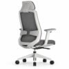 RivlinHome Ergonomic Mesh Office Chair with Adjustable Headrest & Dual Lumbar Support RivlinHome Ergonomic Mesh Office Chair with Adjustable Headrest & Dual Lumbar Support - 5